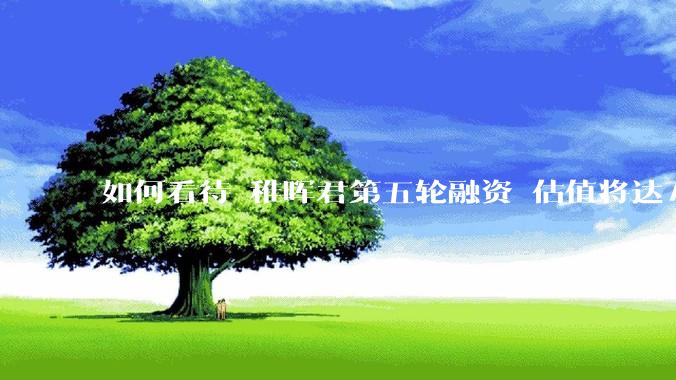 如何看待 稚晖君第五轮融资 估值将达70亿？