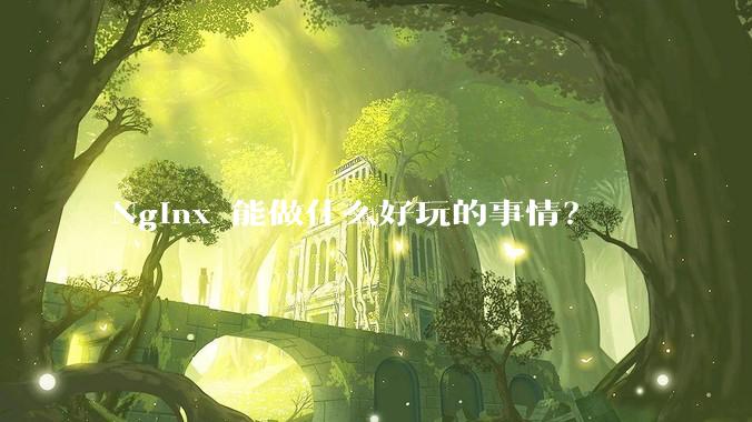 Nginx 能做什么好玩的事情？