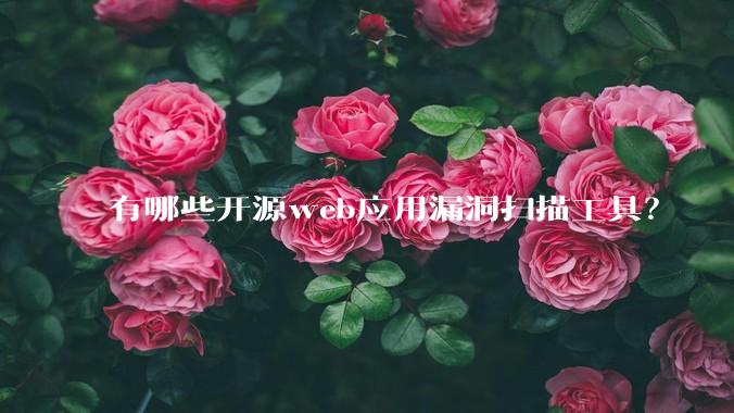 有哪些开源web应用漏洞扫描工具？