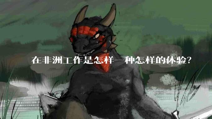在非洲工作是怎样一种怎样的体验？