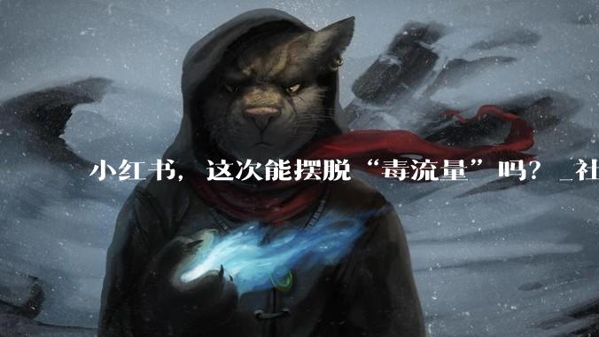 小红书，这次能摆脱“毒流量”吗？_社区_用户_公约