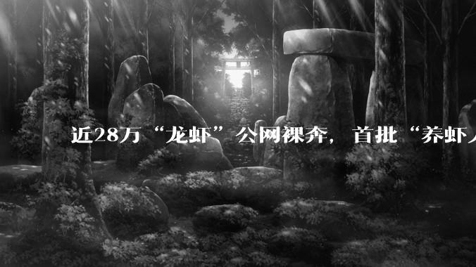 近28万“龙虾”公网裸奔，首批“养虾人”紧急逃离，有人花几百元找人上门卸载！_OpenClaw_服务_MiMo