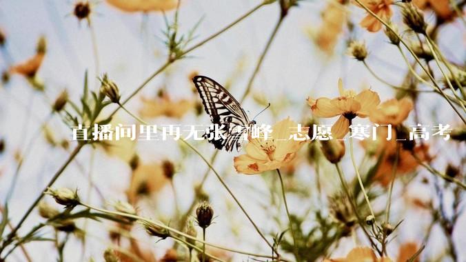 直播间里再无张雪峰_志愿_寒门_高考