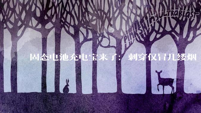 固态电池充电宝来了：刺穿仅冒几缕烟 再也不怕自燃_移动电源_传统_相关