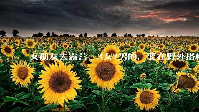 女朋友去露营，3女2男的，要在野外搭帐篷过一夜，她的闺蜜不想让我去，我该怎么办？