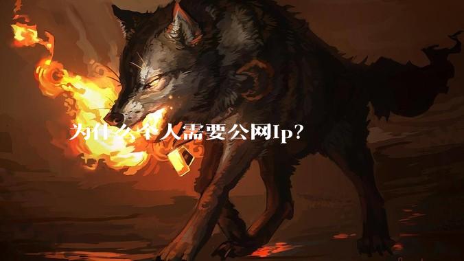 为什么个人需要公网ip？